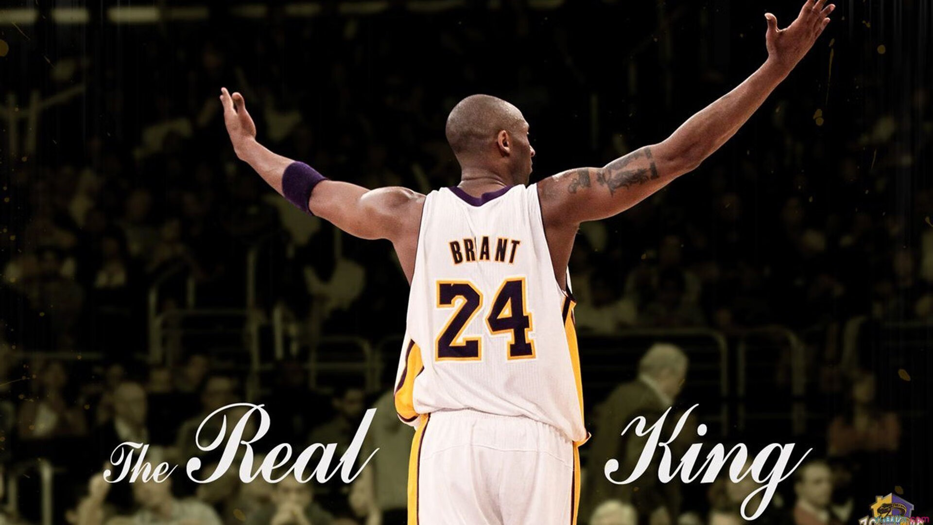 九游官网入口下载-NBA新秀状元初登场展现天赋，nba状元秀名单